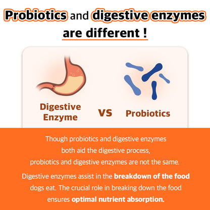 Probiotics vs. Digestive Enzymes: While both support digestion, digestive enzymes break down food for optimal nutrient absorption, whereas probiotics aid gut health, making them essential yet distinct supplements for dogs.