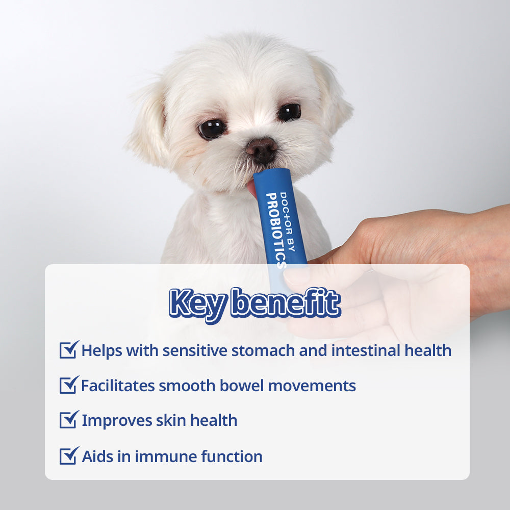 Dr.BY Probiotics support sensitive stomachs, improve intestinal health, aid digestion, enhance skin health, and boost immune function in dogs.