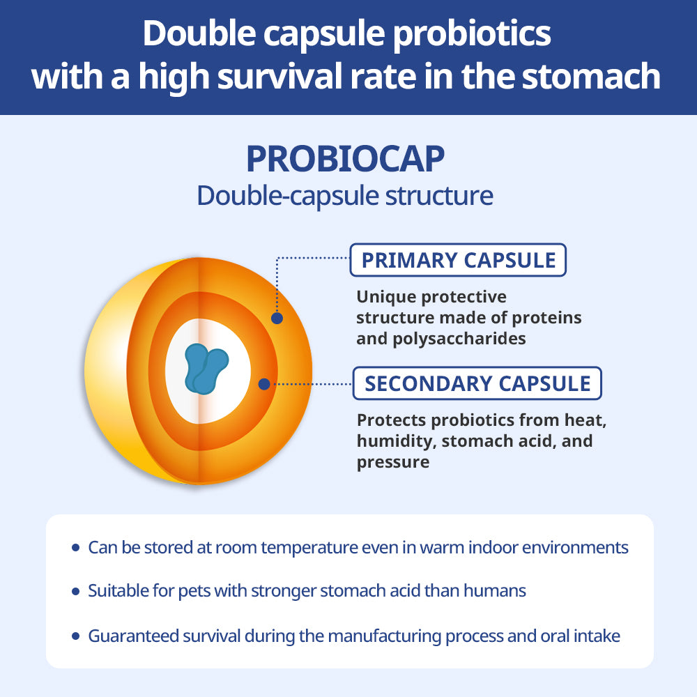 PROBIOCAP double-capsule probiotics enhance survival rates in the stomach, ensuring effective gut health support for pets by protecting beneficial bacteria from heat, humidity, and stomach acid.