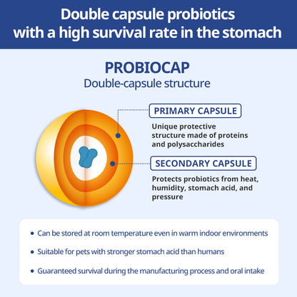 PROBIOCAP double-capsule probiotics enhance survival rates in the stomach, ensuring effective gut health support for pets by protecting beneficial bacteria from heat, humidity, and stomach acid.