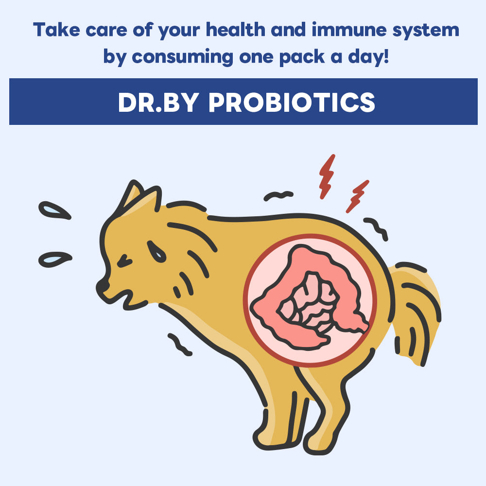 Dr. BY Probiotics support digestive and immune health for dogs, helping to improve gut function and overall well-being with a daily supplement.