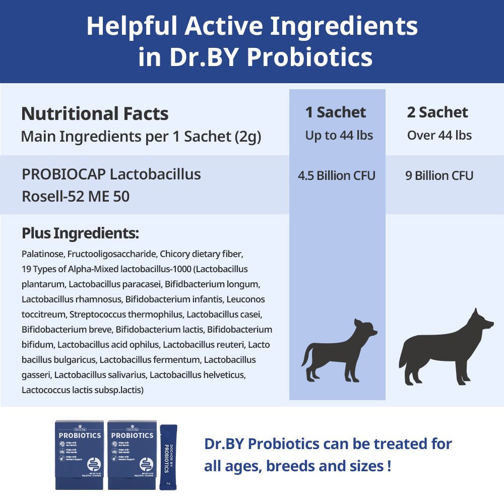 Dr.BY Probiotics contain PROBIOCAP Lactobacillus Rosell-52 ME 50 with 4.5 to 9 billion CFU per serving, supporting gut health for dogs of all ages, breeds, and sizes.