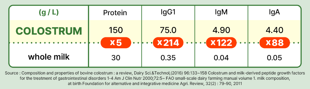 Colostrum contains significantly higher levels of protein (5x) and immune-boosting antibodies (IgG1: 214x, IgM: 122x, IgA: 88x) compared to whole milk, making it superior for immunity and overall health.