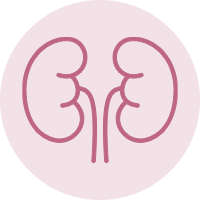 Dog Kidney and Urinary Stone Health Issues