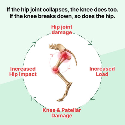 Doctor By Hip&Joint Swift for Dogs - Advanced Joint & Cartilage Support Supplement