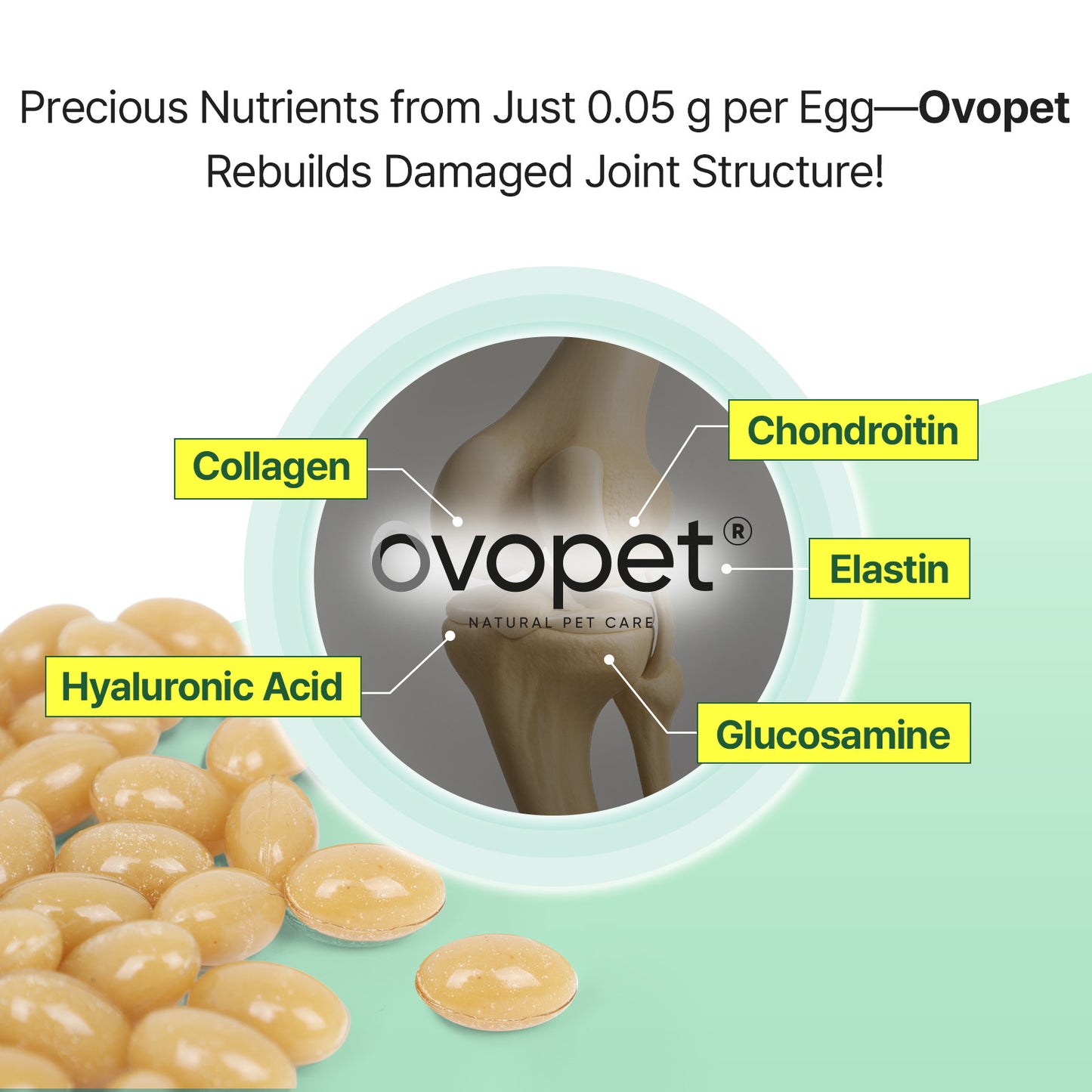 Doctor By Hip&Joint Swift for Dogs - Advanced Joint & Cartilage Support Supplement