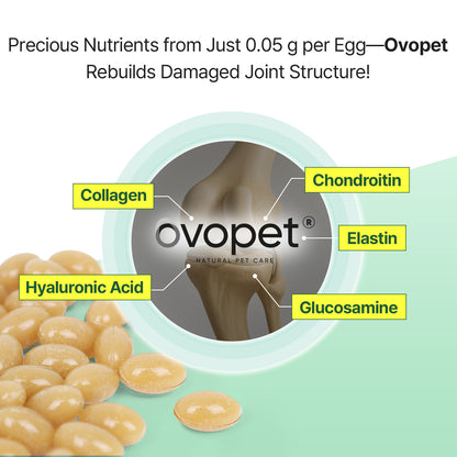 Doctor By Hip&Joint Swift for Dogs - Advanced Joint & Cartilage Support Supplement