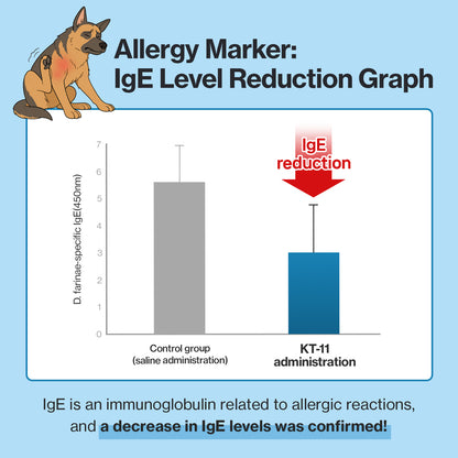 Doctor By Squeeze Probiotics for Dogs Gut Health