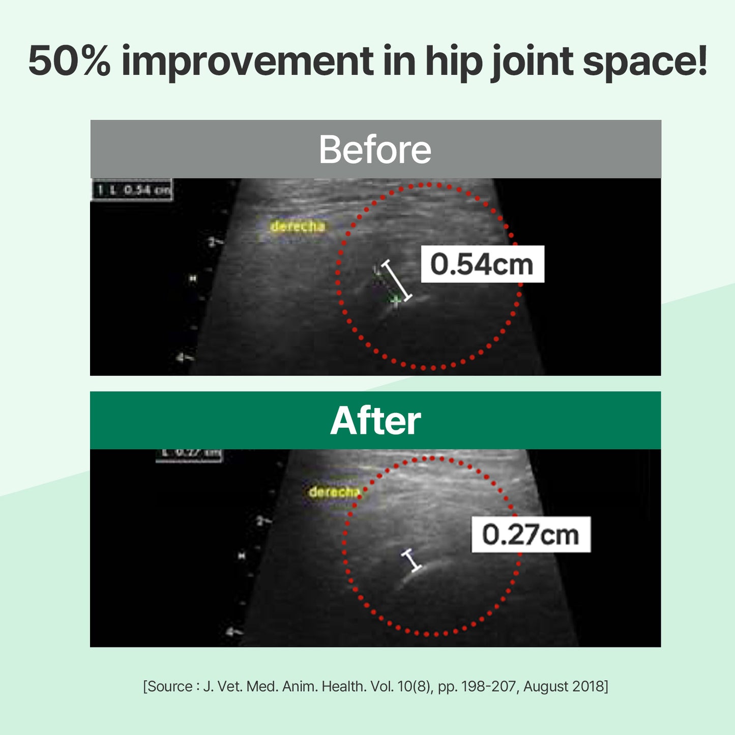 Doctor By Hip&Joint Swift for Dogs - Advanced Joint & Cartilage Support Supplement