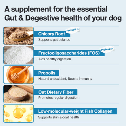 Doctor By Squeeze Probiotics for Dogs Gut Health
