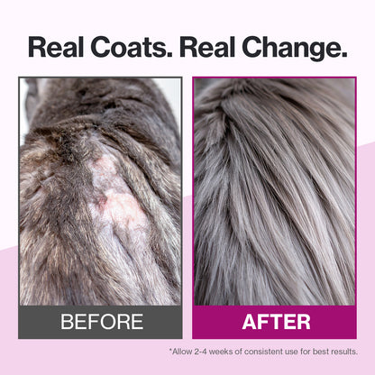 Doctor By Cat Silk Derma Lickable Feline Skin and Coat Supplement