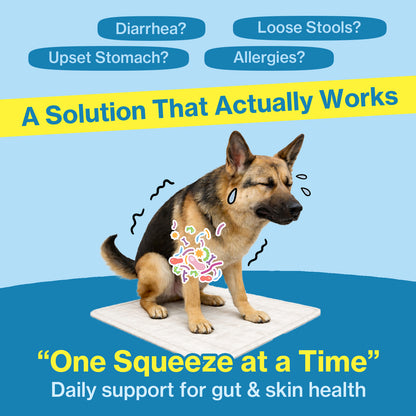 Doctor By Squeeze Probiotics for Dogs Gut Health