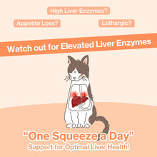 Doctor By Cat Liver Guard Squeezable Liver Supplement for Cats Feline Hepatic Support