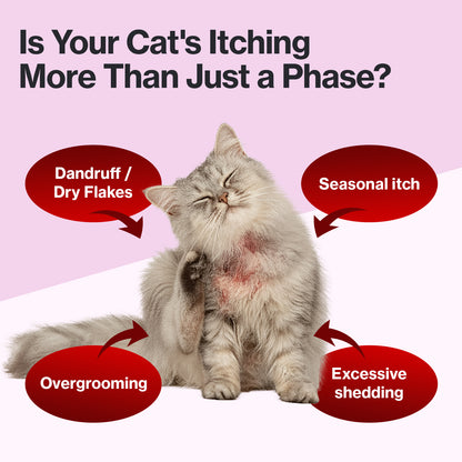 Doctor By Cat Silk Derma Lickable Feline Skin and Coat Supplement