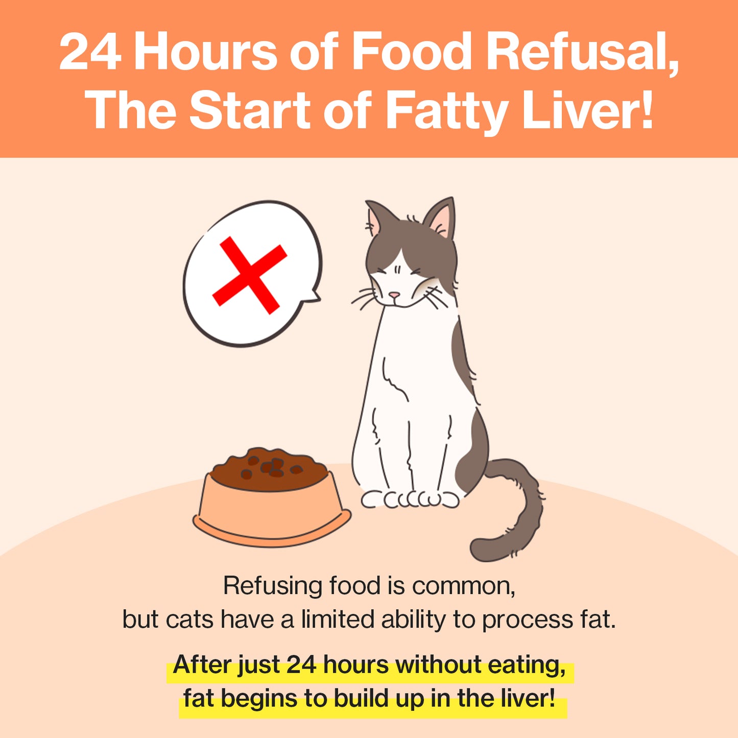 Doctor By Cat Liver Guard Squeezable Liver Supplement for Cats Feline Hepatic Support
