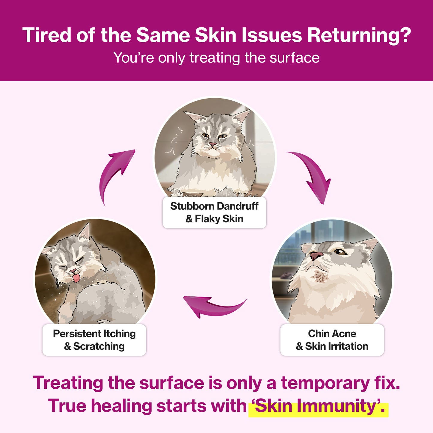 Doctor By Cat Silk Derma Lickable Feline Skin and Coat Supplement