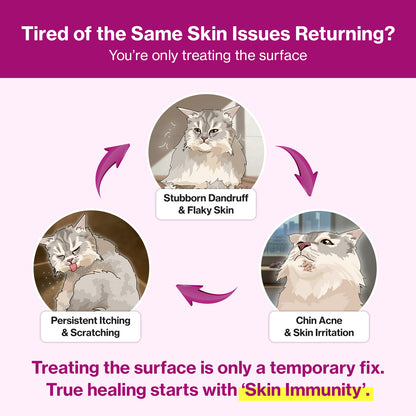 Doctor By Cat Silk Derma Lickable Feline Skin and Coat Supplement