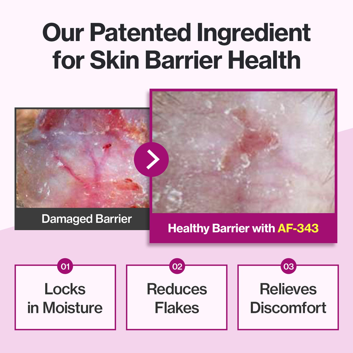 Doctor By Cat Silk Derma Lickable Feline Skin and Coat Supplement