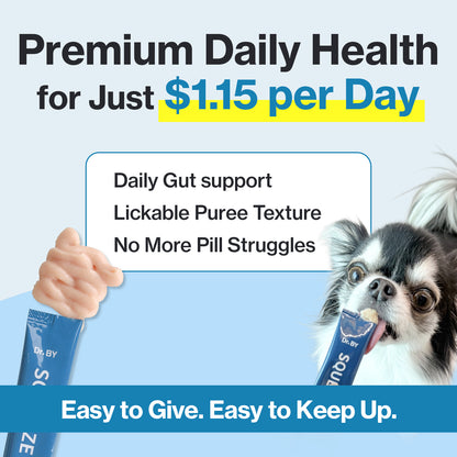 Doctor By Squeeze Probiotics for Dogs Gut Health