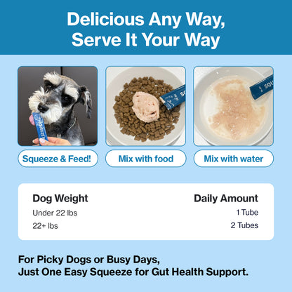 Doctor By Squeeze Probiotics for Dogs Gut Health