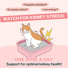 Doctor By UT Care UTI & Kidney Supplement for Cat