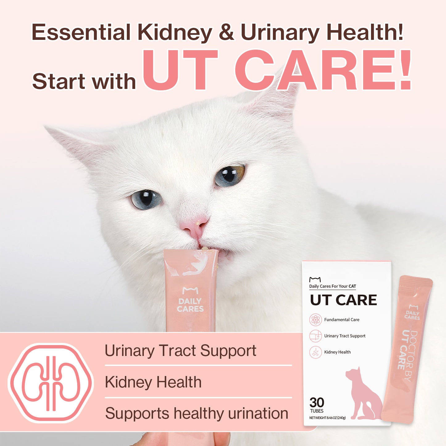 Doctor By UT Care UTI & Kidney Supplement for Cat