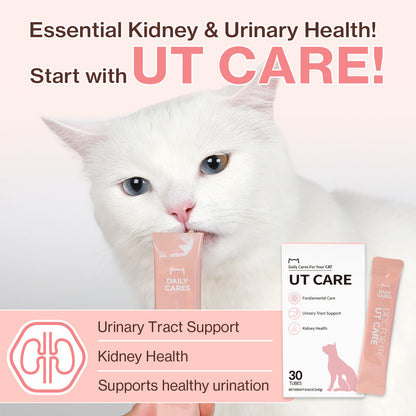 Doctor By UT Care UTI & Kidney Supplement for Cat