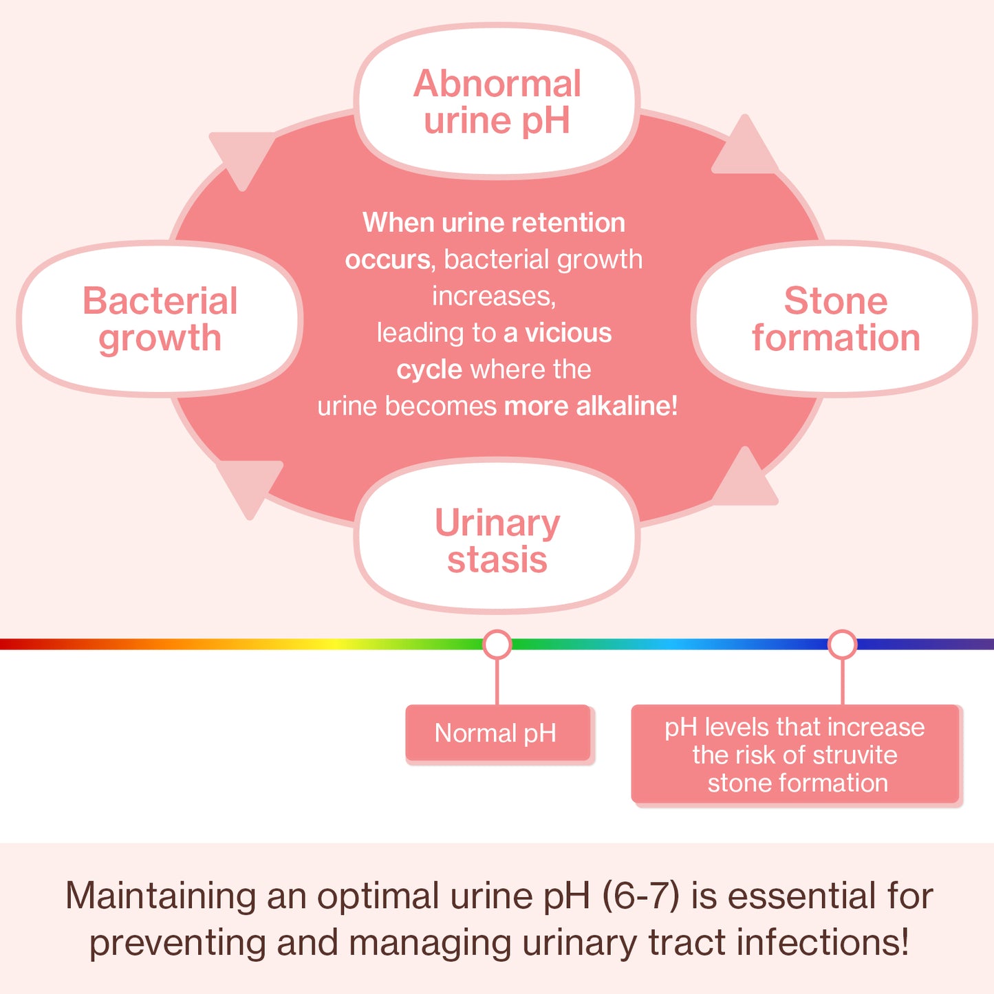 Doctor By UT Care UTI & Kidney Supplement for Cat