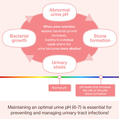 Doctor By UT Care UTI & Kidney Supplement for Cat