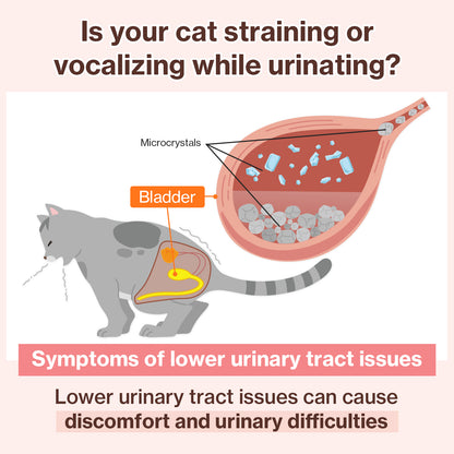 Doctor By UT Care UTI & Kidney Supplement for Cat