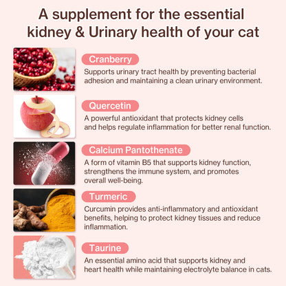 Doctor By UT Care UTI & Kidney Supplement for Cat