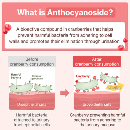 Doctor By UT Care UTI & Kidney Supplement for Cat