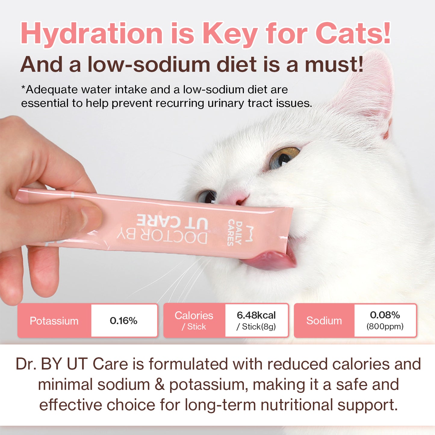 Doctor By UT Care UTI & Kidney Supplement for Cat