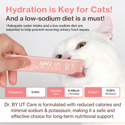 Doctor By UT Care UTI & Kidney Supplement for Cat