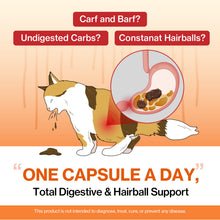 Doctor By Cat Enzyme Swift Cat Digestive Enzyme Supplement