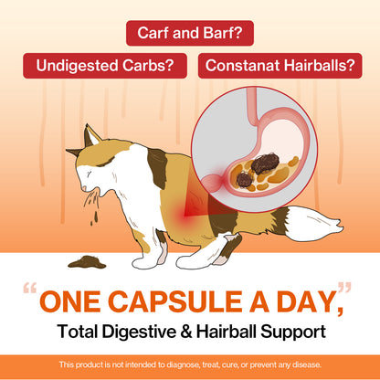 Doctor By Cat Enzyme Swift Cat Digestive Enzyme Supplement
