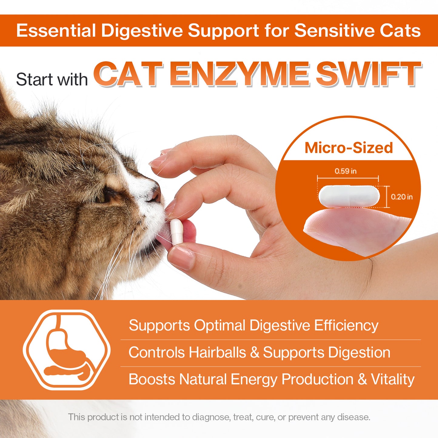 Doctor By Cat Enzyme Swift Cat Digestive Enzyme Supplement