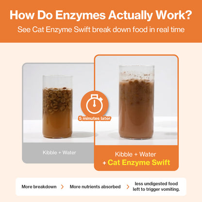 Doctor By Cat Enzyme Swift Cat Digestive Enzyme Supplement