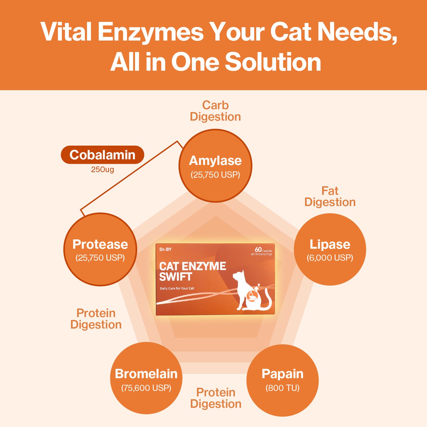 Doctor By Cat Enzyme Swift Cat Digestive Enzyme Supplement