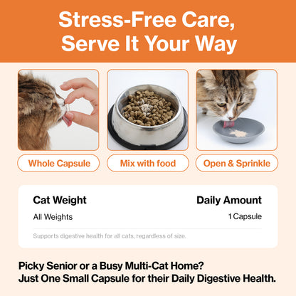Doctor By Cat Enzyme Swift Cat Digestive Enzyme Supplement