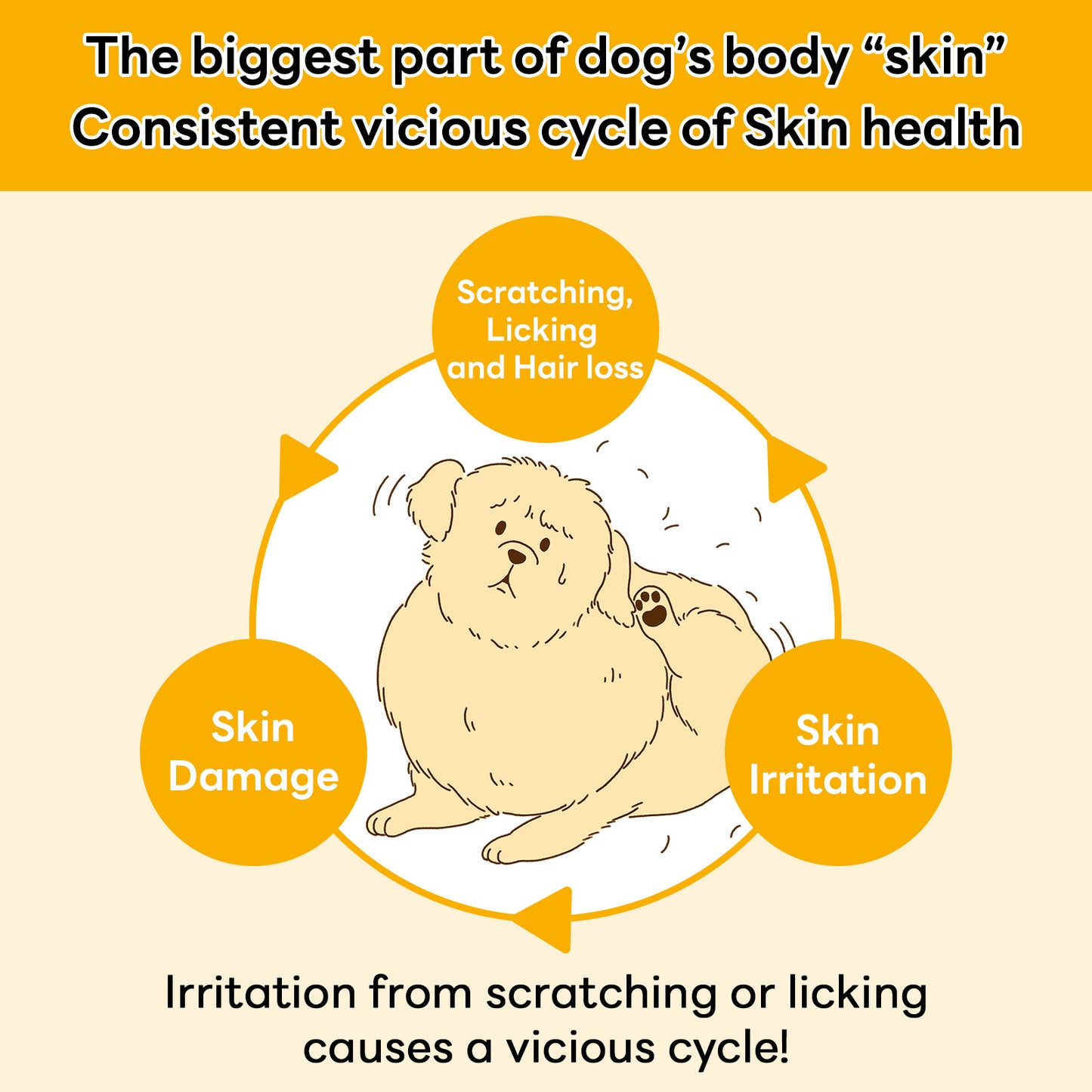 The image highlights the vicious cycle of dog skin health issues, where scratching and licking lead to irritation, skin damage, and hair loss, emphasizing the need for effective skin and coat care solutions.