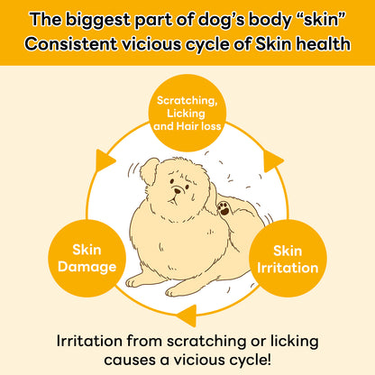The image highlights the vicious cycle of dog skin health issues, where scratching and licking lead to irritation, skin damage, and hair loss, emphasizing the need for effective skin and coat care solutions.