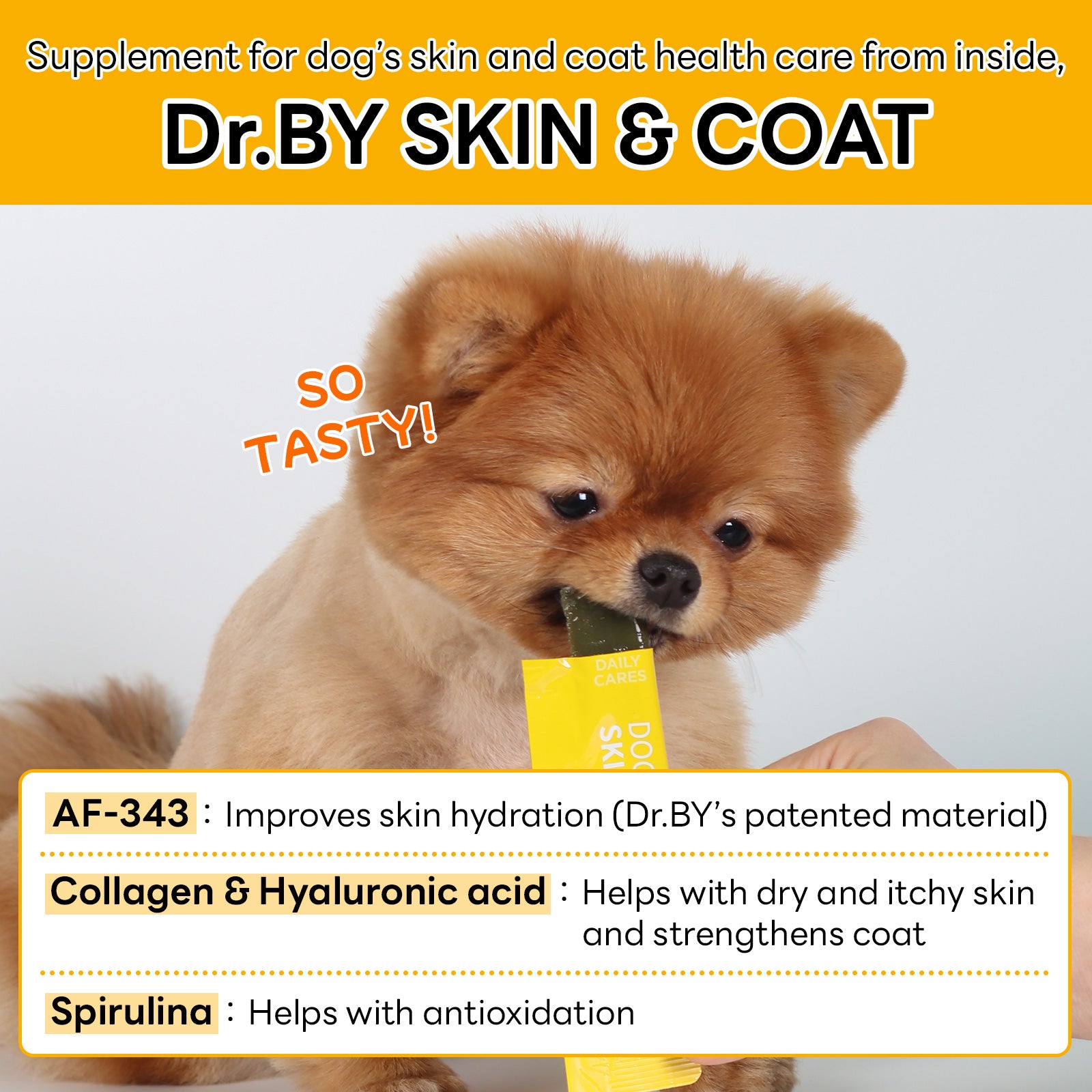 Dr.BY Skin & Coat supplement for dogs supports skin hydration, strengthens the coat, and relieves dryness and itchiness with AF-343, collagen, hyaluronic acid, and spirulina.