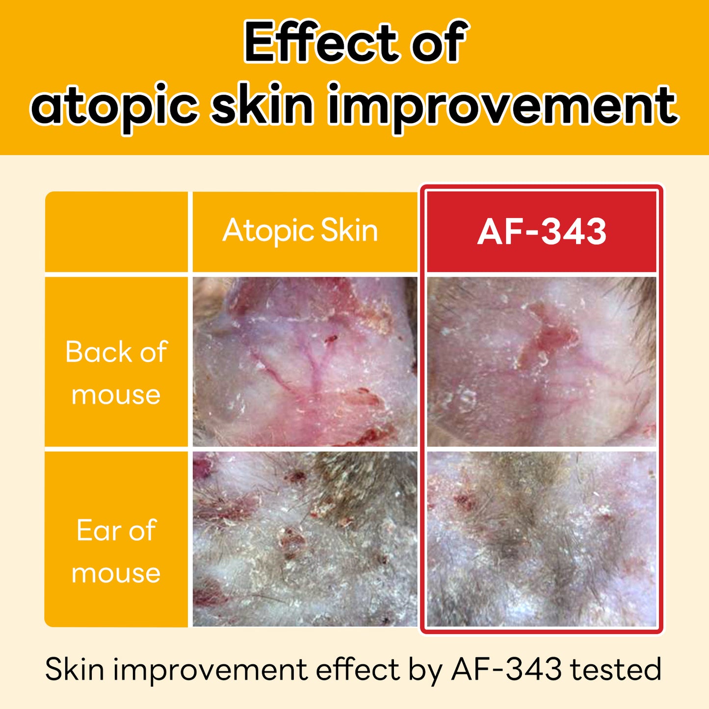 The image demonstrates the atopic skin improvement effects of AF-343, showing visible recovery in the back and ear of a mouse after application.