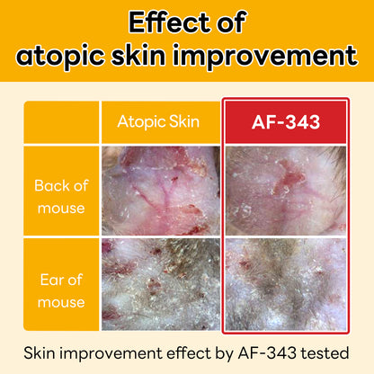 The image demonstrates the atopic skin improvement effects of AF-343, showing visible recovery in the back and ear of a mouse after application.