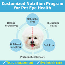 Dr.BY Eyes Care provides a customized nutrition program for pet eye health, supporting tear management, nourishing eyes, reducing dark eye stains, and promoting overall ophthalmic wellness.