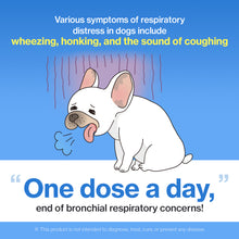 A bronchial supplement that relieves dogs' coughing and respiratory discomfort – Recommended use: 1 per day.