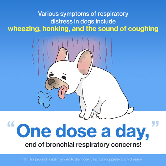 A bronchial supplement that relieves dogs' coughing and respiratory discomfort – Recommended use: 1 per day.