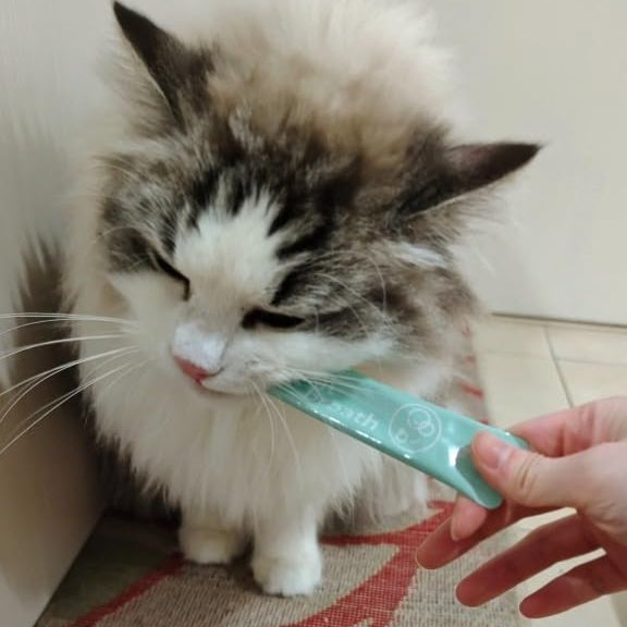 I’m familiar with dog food but not cats, so I searched and found this product. It was exactly what I wanted, arrived quickly, and my cat showed interest in it. 
