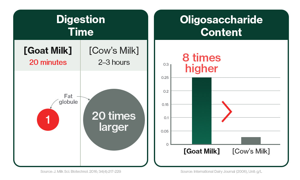Goat milk, similar to breast milk, has small particles, low fat accumulation, and rich oligosaccharides, making it easy to digest.